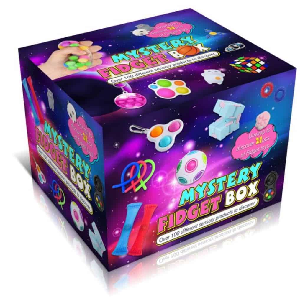 Learning Express Inclusive Toy: Mystery Fidget Box